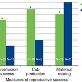 パンダ「ブスマジ無理！」