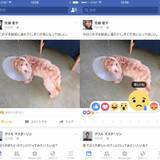 Facebookに「超いいね！」「悲しいね」登場