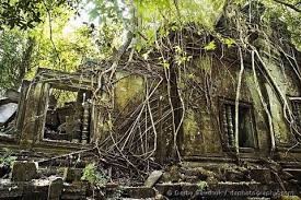 【東京湾のラピュタ】横須賀沖の無人島「猿島」が1日7万円で貸し切り可能! 横須賀中央駅から約30分:コメント1