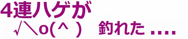 「25歳からは女の子じゃない」　資生堂、「セクハラ」批判CMを中止：コメント116