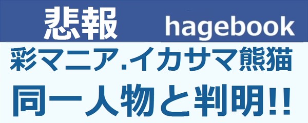 AKBグループの女神山本彩 顔可愛い ナイスバディ 歌 ダンス ギター 演技上手いこんな完璧な娘いない：コメント651