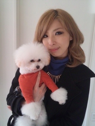 é¢¨ä¿å¬¢ã®åã¡ï¼ã³ã¡ã³ã3403