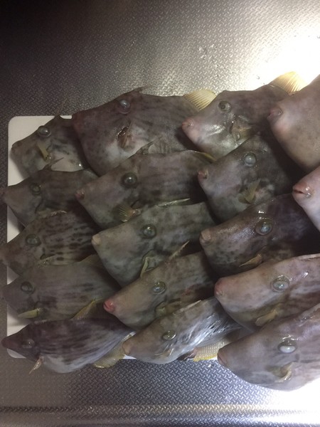 風俗嬢の写メï¼ã³ã¡ã³ã3473