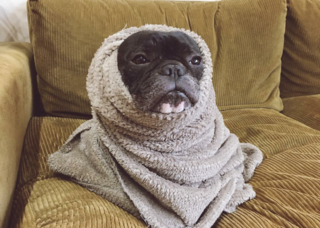 é¢¨ä¿å¬¢ã®åã¡ï¼ã³ã¡ã³ã3505