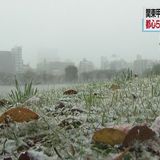 東京などで初雪 関東甲信平野部でも積雪のおそれ