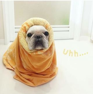 風俗嬢の写メ：コメント3648