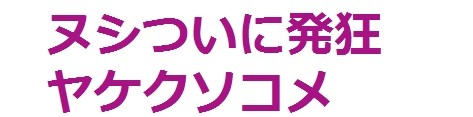 「アッコにおまかせ！」来年3月で打ち切りへ！紅白落選の影響で和田アキ子が芸能界追放の大ピンチ：コメント61