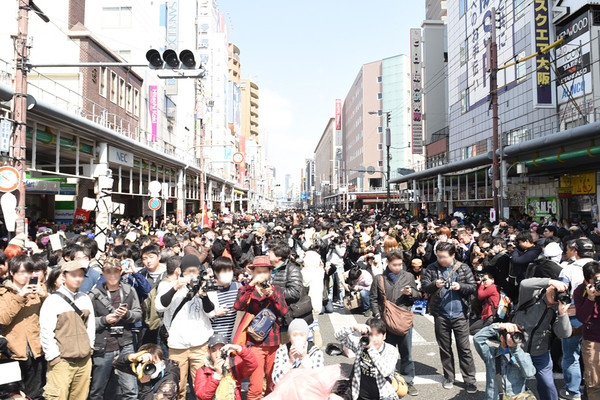 日本橋がコスプレで埋め尽くされる！  25万人が集結！　「第12回 大阪ストリートフェスタ」開催：コメント1