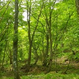 「明石家サンタ」で重すぎて笑えないと話題になった「失踪話」に新たな展開