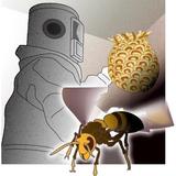 スズメバチ駆除で爆発、自宅炎上