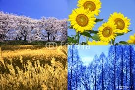 春夏秋冬どれが好きですか？：コメント1