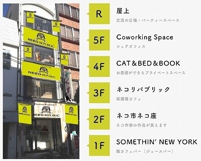 猫好きによる猫のための猫助け施設「ネコビル」誕生　大阪・心斎橋：コメント2