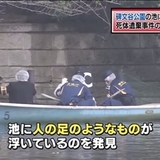 碑文谷公園でバラバラ殺人事件発生