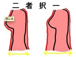 巨乳が乳を強調してる服を着る理由がこちらです。：コメント2