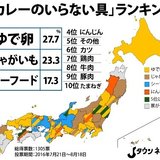 4人に1人が「カレーに入れてほしくない」と答えた、あの定番の具とは？