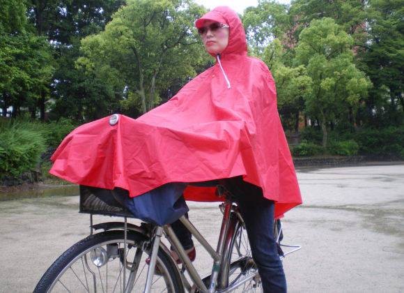 今すぐにでも買いたい物：コメント1