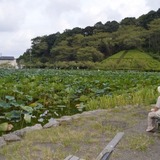 池で見つけたのは「おじいさん」　ポケモントレーナーが人命救助　静岡・藤枝