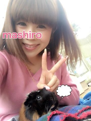 風俗嬢の写メ：コメント4233