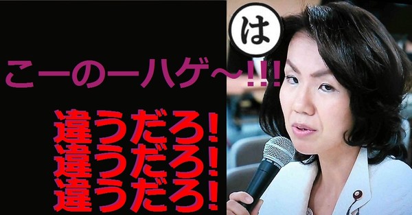 舛添前都知事、ぶっちゃける「絶対市長とか知事にならないほうがいい」：コメント10