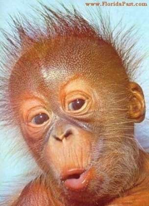 NHK、過労死した職員の法要で遺族に故人の悪口をぶちまける：コメント99