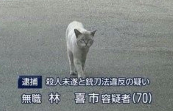 ウケた画像w：コメント152