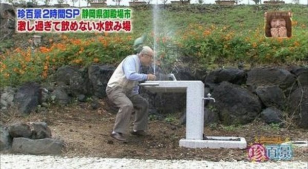 ウケた画像w：コメント87