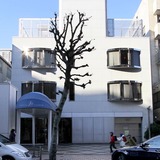 香取“20年恋人”と“謎の少年”報道の裏でキムタク美談の謎