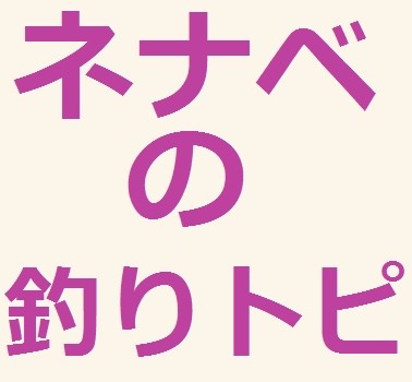 結婚を考えているのですが、この経歴は結婚相手として見れますか？：コメント11