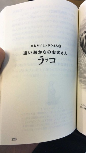 お前ら「ラッコ可愛い〜〜?」漁師「愛人囲えるのに…まじ殺してぇ…」：コメント3