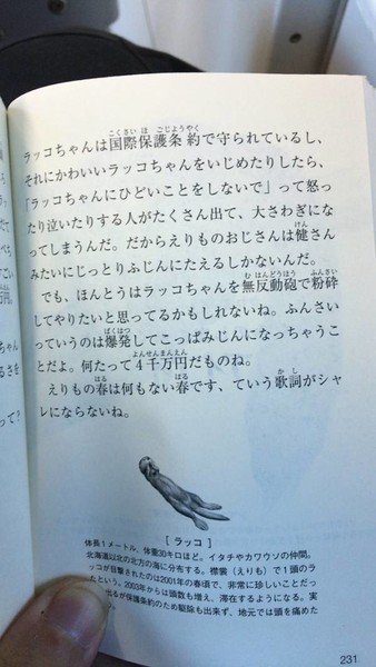 お前ら「ラッコ可愛い〜〜?」漁師「愛人囲えるのに…まじ殺してぇ…」：コメント2