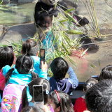 パンダの新規貸与要請へ　中国前向き、関係改善の証し？