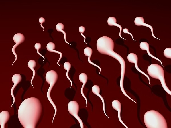 男性の精子の数、欧米で40年の間に半減　対策は：コメント1