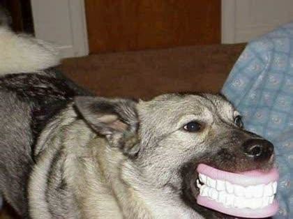 ウケた画像w：コメント686