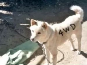 ウケた画像w：コメント908