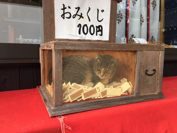 ウケた画像w：コメント855