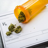 大麻規制緩和に国連が動きだす、国連で「大麻規制」見直しへ、米FDAもパブリックコメント募集