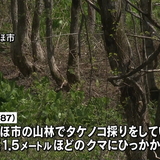 「このやろうと叫んだら逃げた」クマに襲われてけがをした男性が語る状況