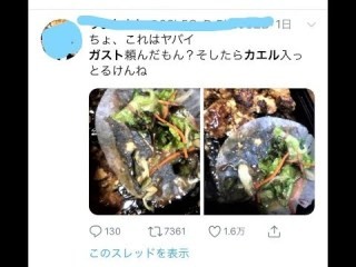 ガストの弁当に混入していたのは「ニホンアマガエル」　複数回の洗浄と目視点検でも除去しきれず：コメント11