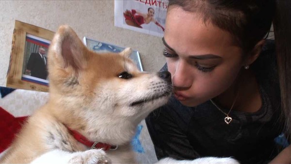 ザギトワ選手に贈られる秋田犬お披露目「まさに秋田美人」：コメント60