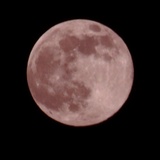 6月28日の満月は年に一度の「ストロベリームーン」　別名は「恋を叶えてくれる月」