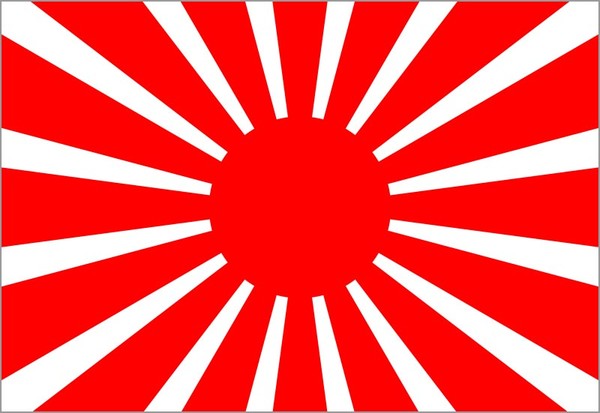 日本サポーターの旭日旗での応援、韓国の教授がFIFAに懲戒を要求：コメント16