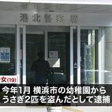 横浜市の幼稚園からうさぎ2匹を盗み切り刻んだ容疑、19歳の少女逮捕