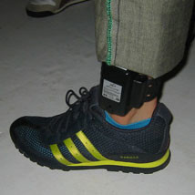 新潟県議会 性犯罪者のGPS監視求める意見書を可決:コメント1