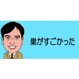 猛暑の日本列島でスズメバチが大発生！　巨大な巣が各地でゴロゴロ、気をつけて！