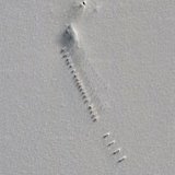 立ち入り禁止の南極の謎がインターネットで見れる