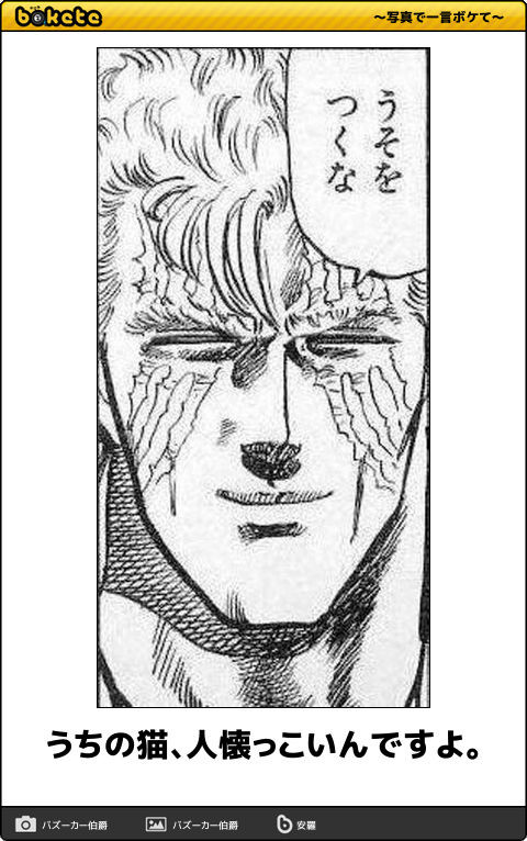 ウケた画像w：コメント1011