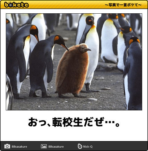 ウケた画像w：コメント931