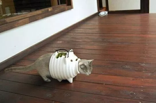 ウケた画像w：コメント1847