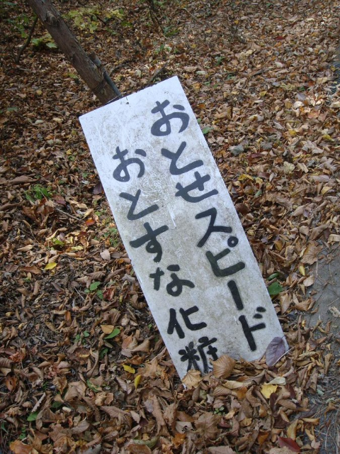 ウケた画像w：コメント1865