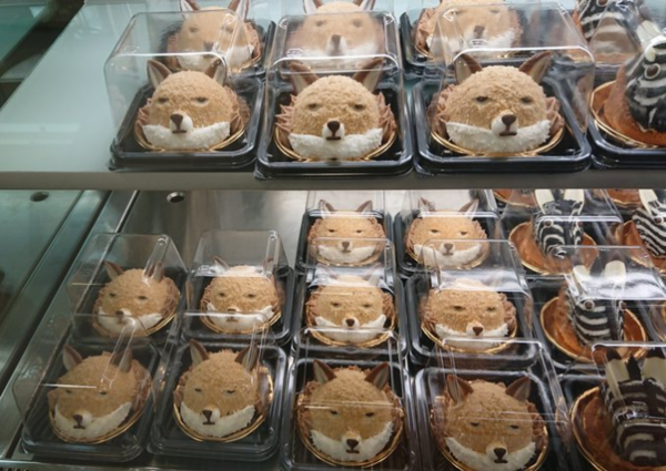 ウケた画像w：コメント1903